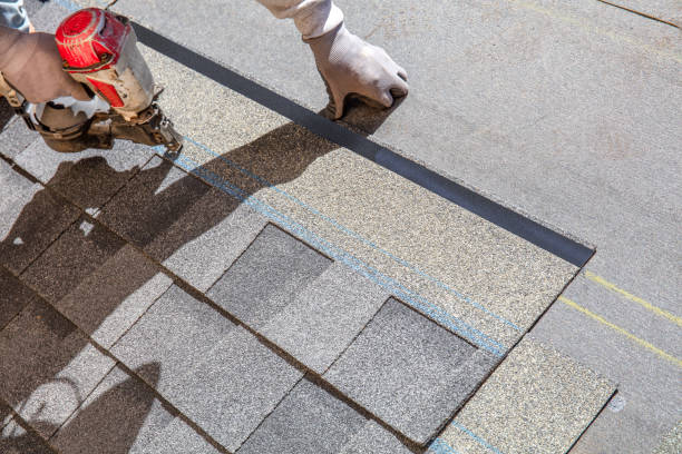 Best Roof Gutter Cleaning  in Mcmurray, PA
